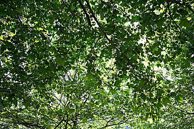 PC版《黑道圣徒4》将免费升至《黑道圣徒4：重制版》